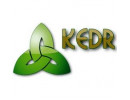 Kedr